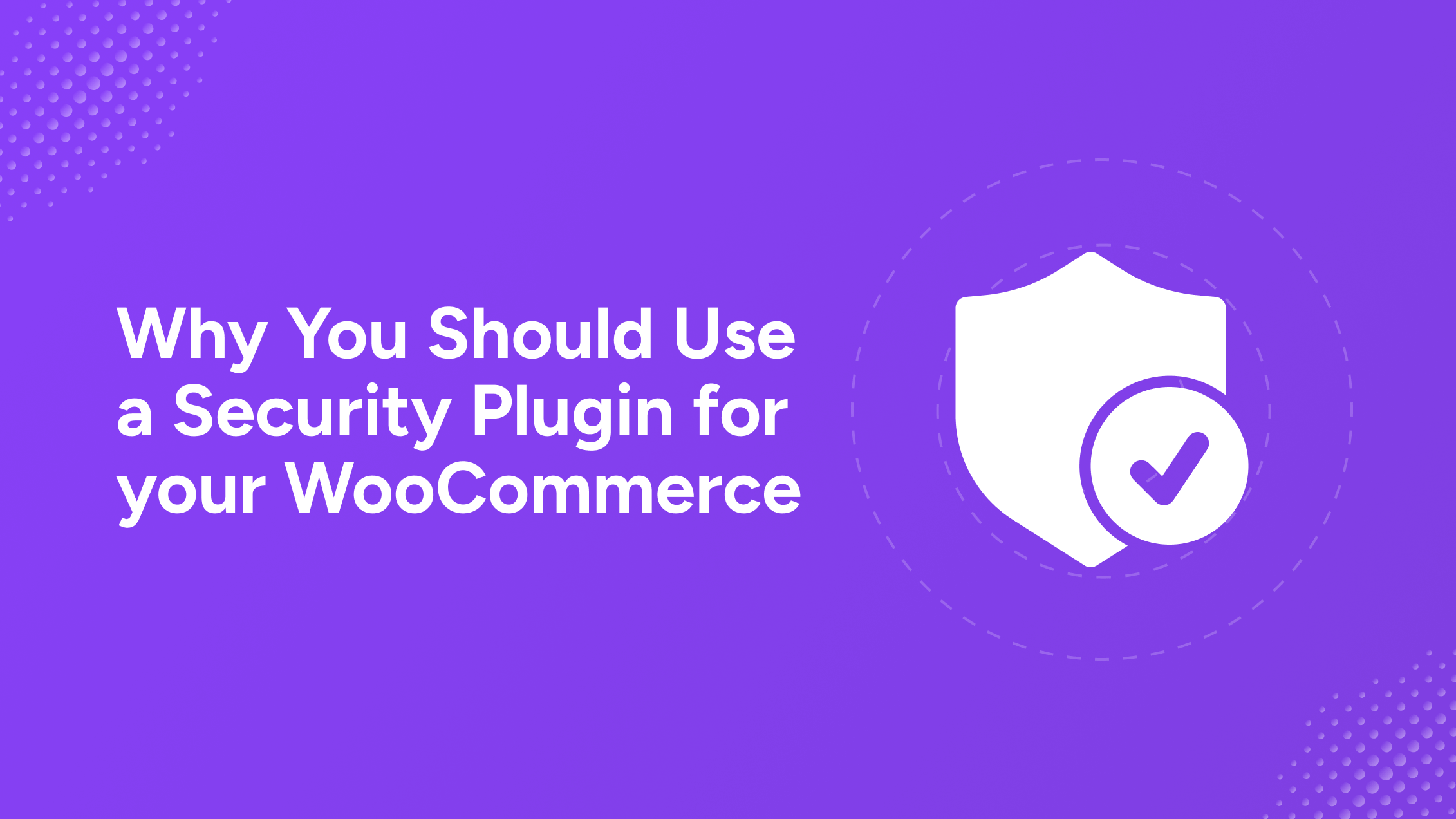 Why Every WooCommerce Store Owner Needs a Security Plugin